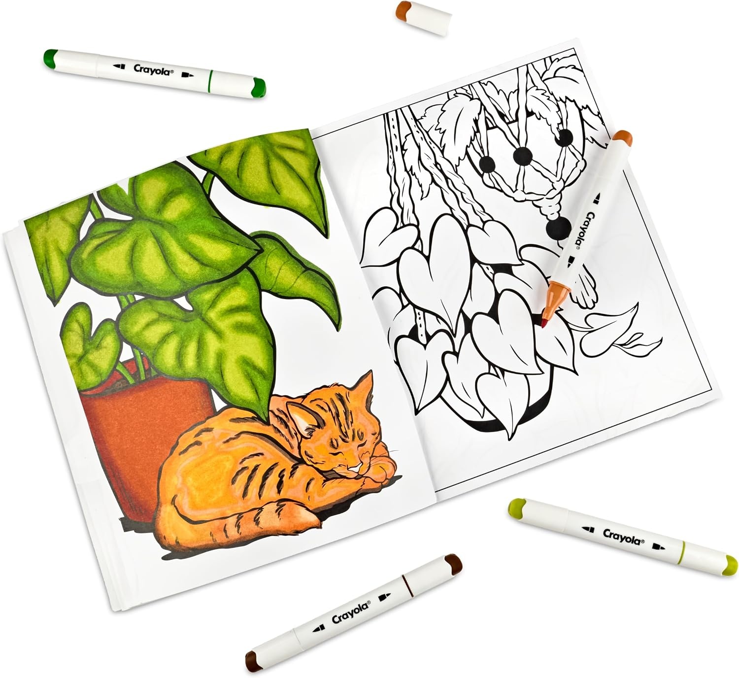 Crayola Stay Hydrated Adult Coloring Book, 32 Pgs, Premium Paper, Stress Relief and Relaxation Activities, Gift for Women and Men(Plant Lady)