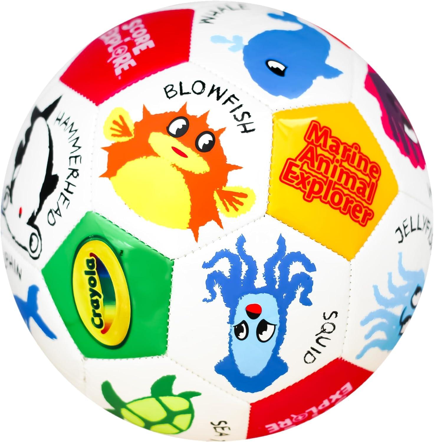 Crayola Official Soccer Ball – Unisex Kids – Multiplication Box Size 3(Marine)