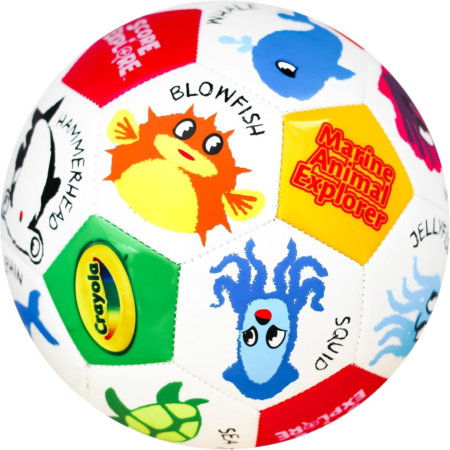 Crayola Official Soccer Ball – Unisex Kids – Multiplication Box Size 3(Marine)