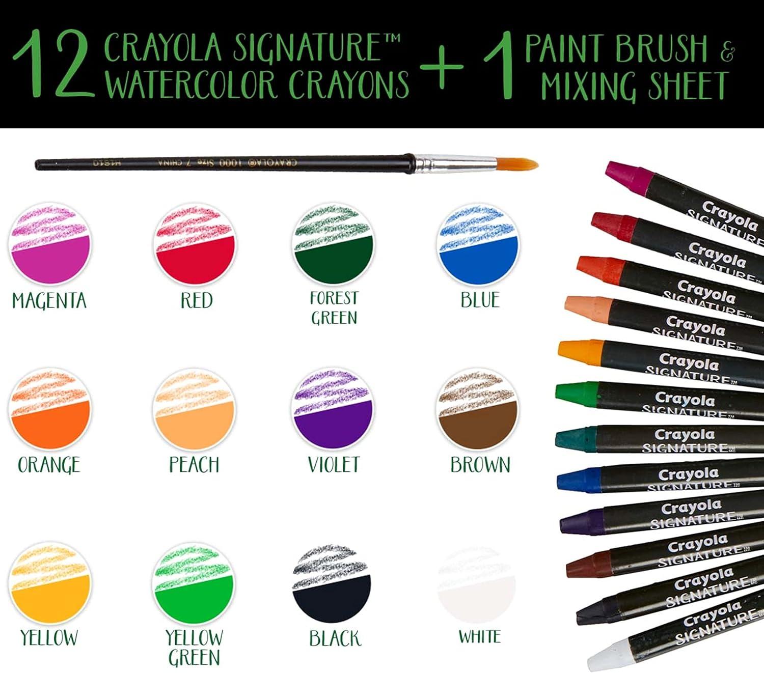Crayola Signature Premium Watercolor Crayon Sticks & Paintbrush, 12 Count, Gift(1 Count (Pack of 1))