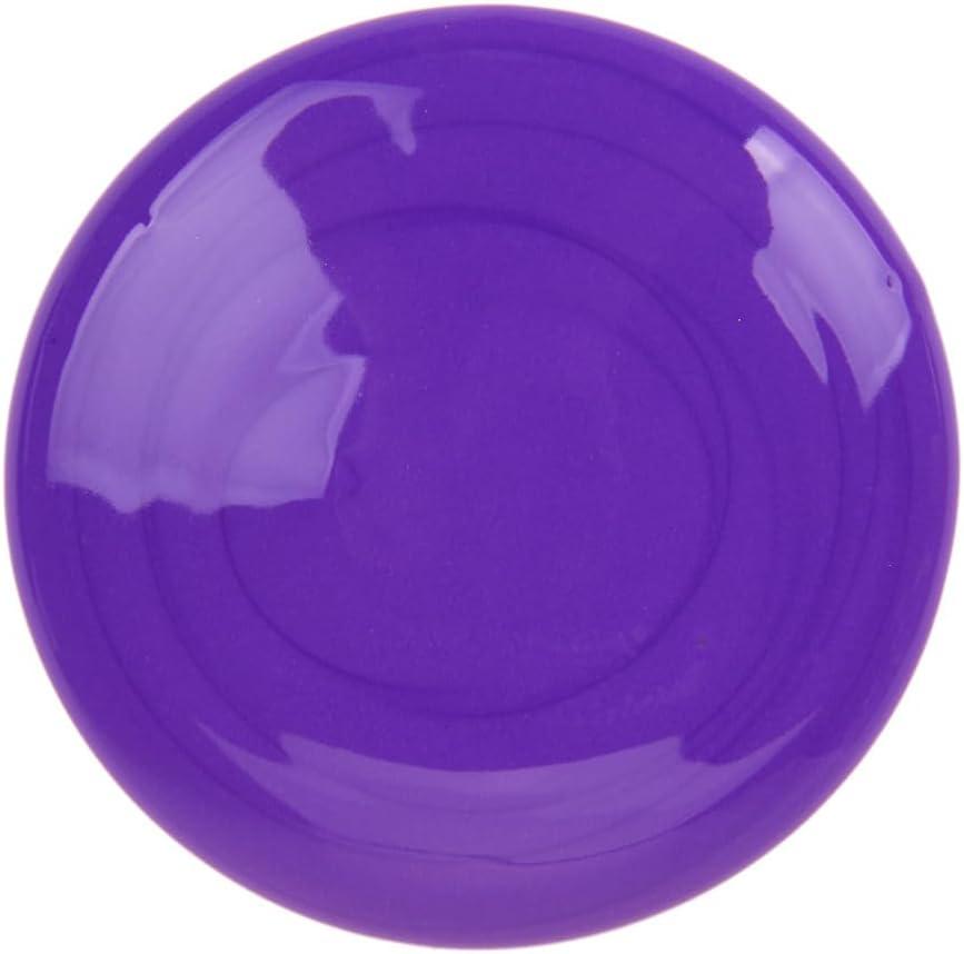Crayola Washable Paint for Kids – Blue (1 Gallon), Kids Arts and Crafts Supplies, Non Toxic, Bulk(Violet)