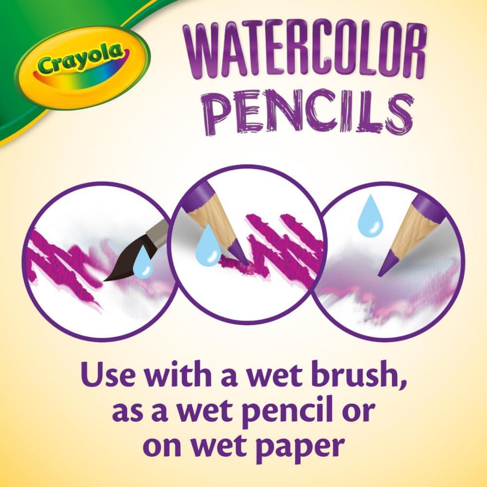 Crayola Classpack Watercolor Pencils, 240ct, 20 each of 12 Colors, Great for Classroom, Educational, Art Tools(Watercolor)