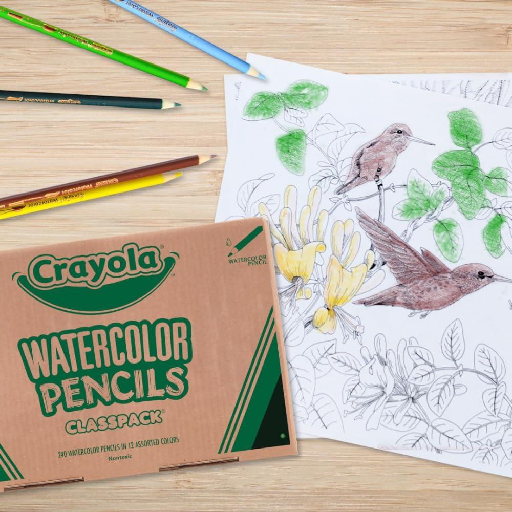Crayola Classpack Watercolor Pencils, 240ct, 20 each of 12 Colors, Great for Classroom, Educational, Art Tools(Watercolor)