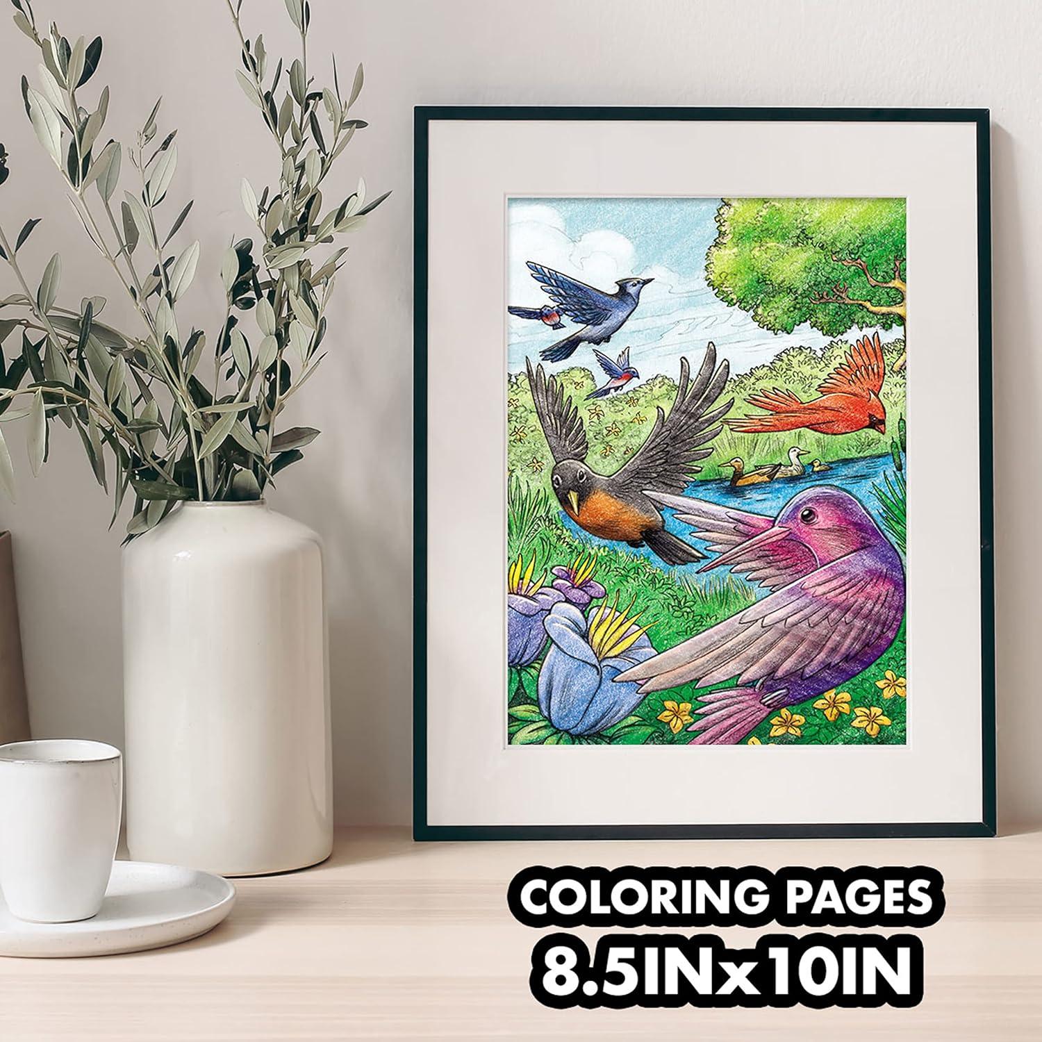 Crayola Tropical Garden Adult Coloring Book (40pgs), Adult Coloring Pages, Stress Relief Activity, Gift for Teens & Adults, 9+(BirdWatching)
