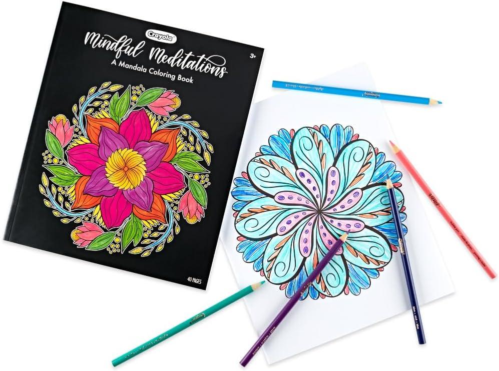 Crayola Color and Erase Reusable Activity Board, Gift for Kids, Ages 3, 4, 5, 6